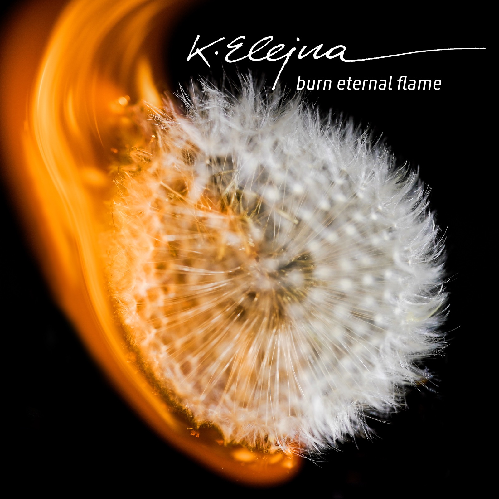 K. Elejna is an artist based in Vienna